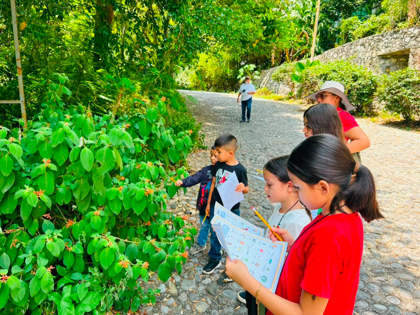 Estimula Estado, entre infantes, Ciencia Ciudadana y Educación Ambiental