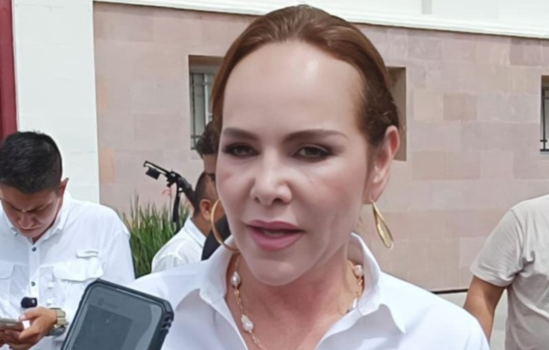 Seguridad y Estabilidad, fórmula para acrecentar inversión en NLD...: Carmen Lilia