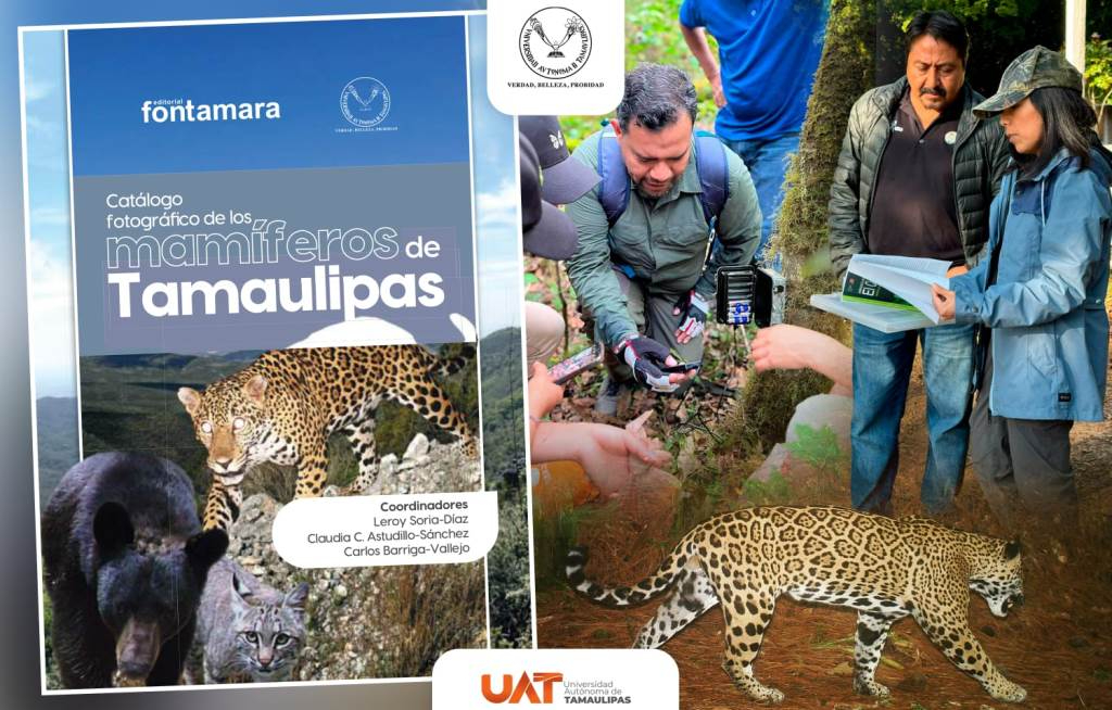 Difunde la UAT catálogo fotográfico de los mamíferos de Tamaulipas