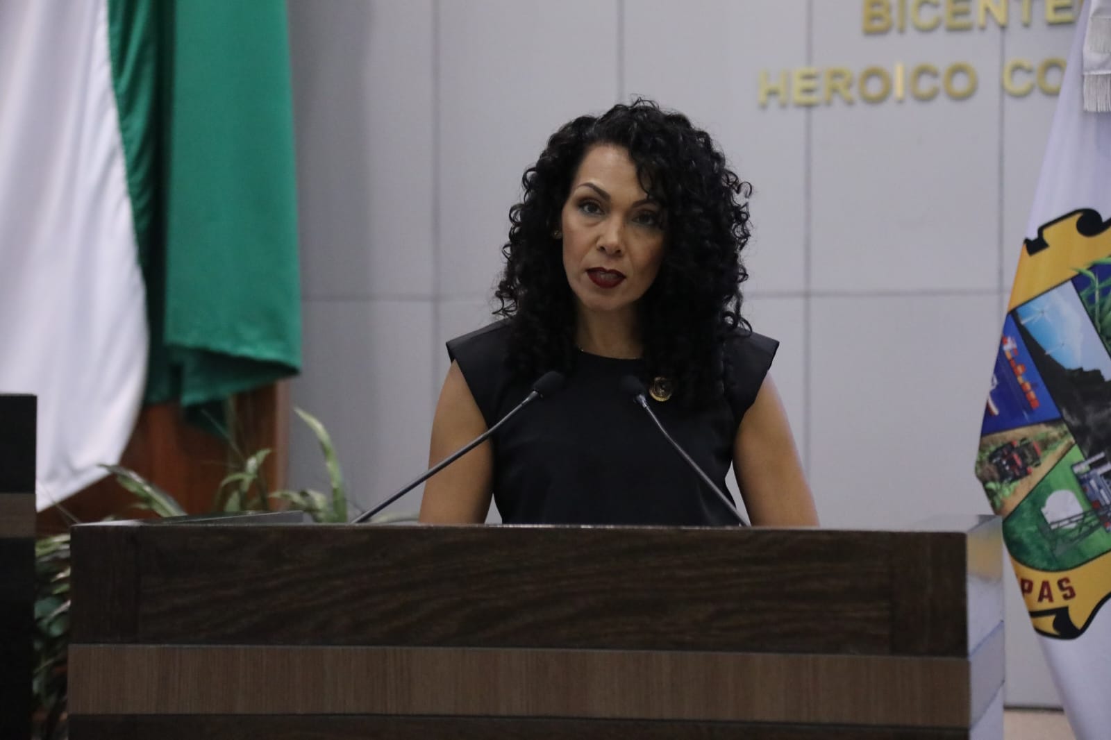 Resurge polémica en Congreso; alienta Cynthia Jaime Reforma que crearía 'cerco legal' contra críticas