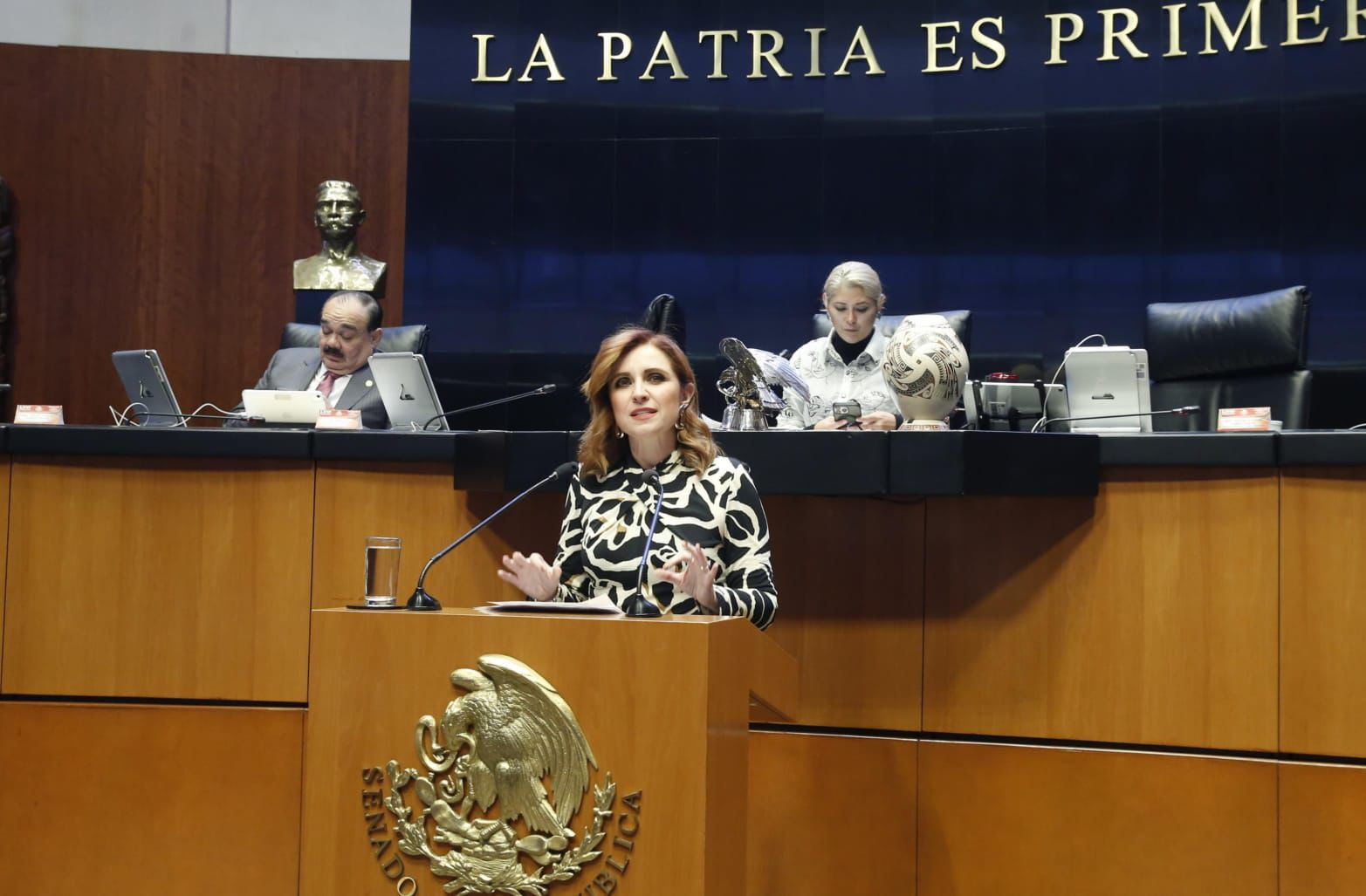 “Ley Espía” vulnera privacidad y afecta la economía de las familias: PAN