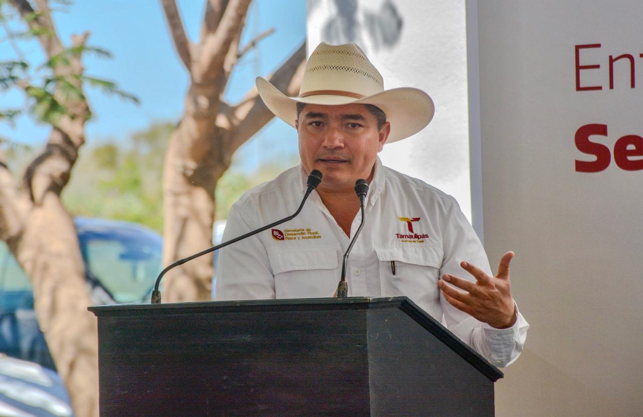 'Logra Estado contener impacto de gusano barrenador:...'