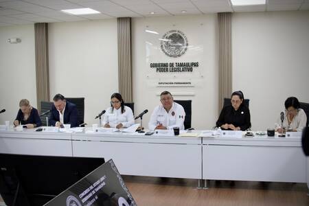 Abre Congreso la puerta para que 'perrhijos' sea reconocidos legalmente como familia