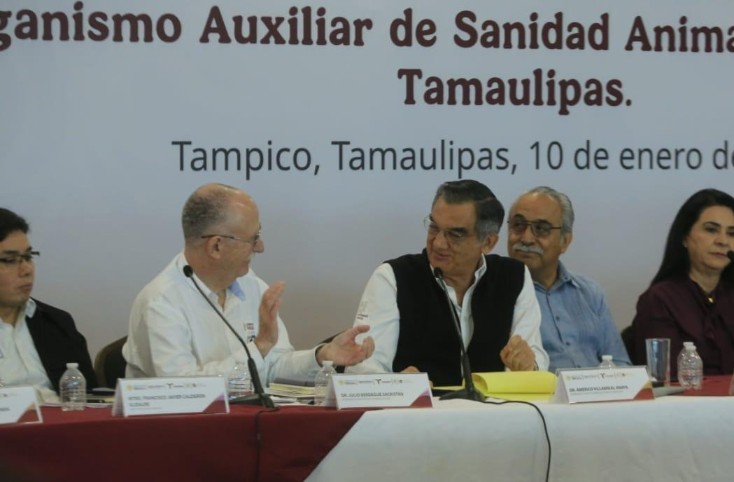 'Cerrar comercialización de Ganado tamaulipeco, ¡nunca...!': Berdegué; 'Respuesta de CSP para combatir barrenador, inmediata': AVA