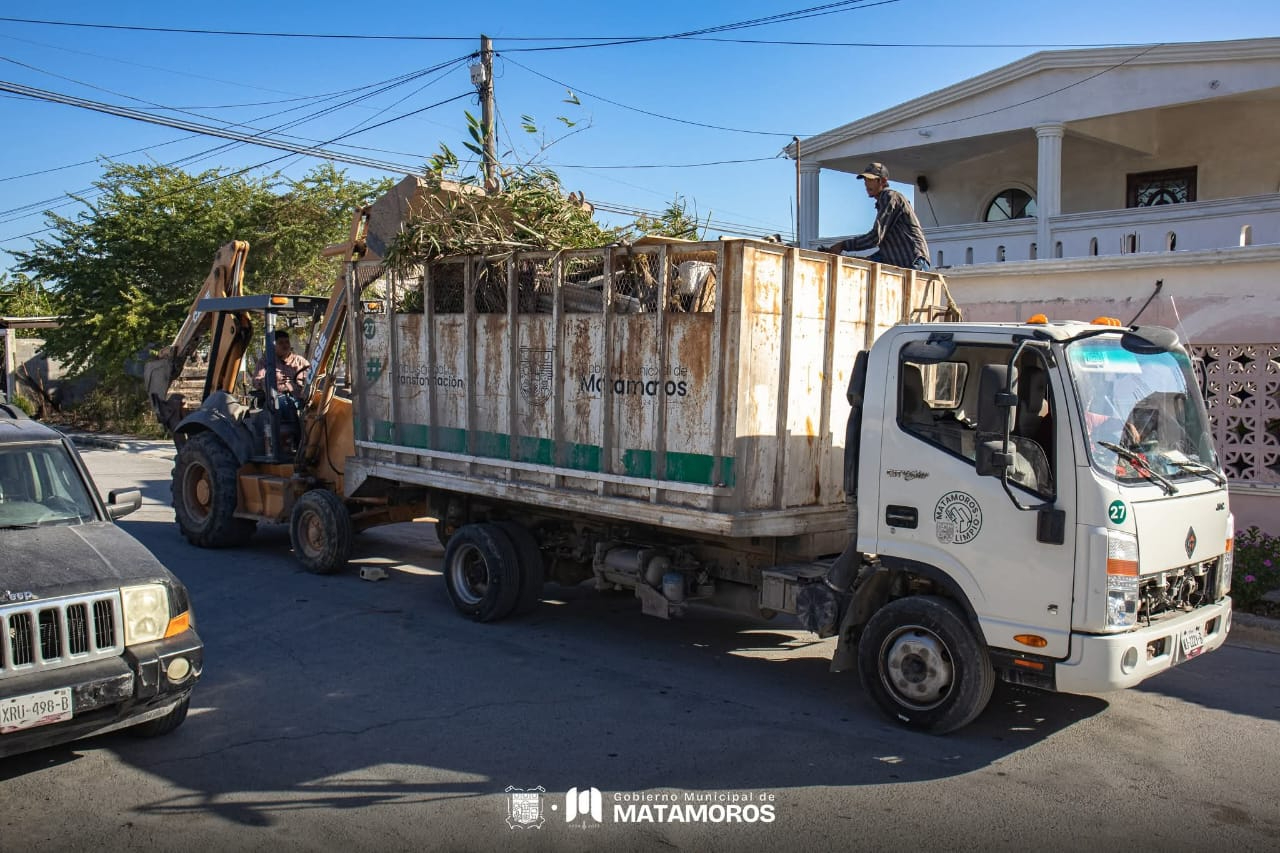 Gobierno de Matamoros intensifica campañas para eliminar criaderos de vectores