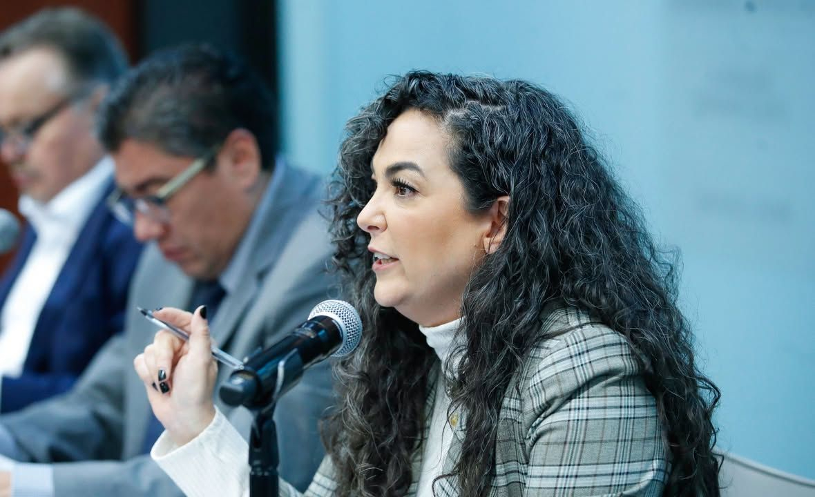 Senadora Olga Sosa propone que acceso a la energía eléctrica sea considerado derecho humano