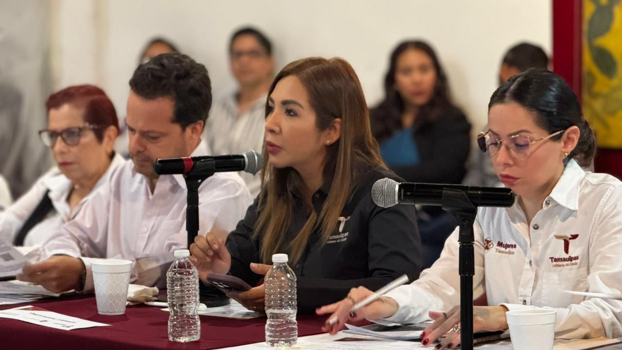 Exige reto de Embarazo en Adolescentes labor interinstitucional: Salazar Márquez